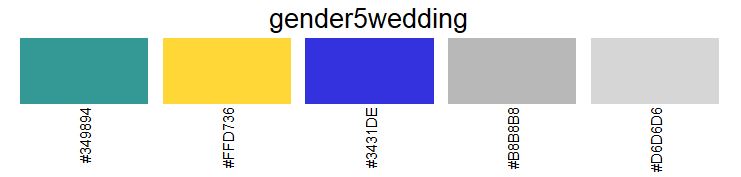 color palette 5 colors gender and marital status